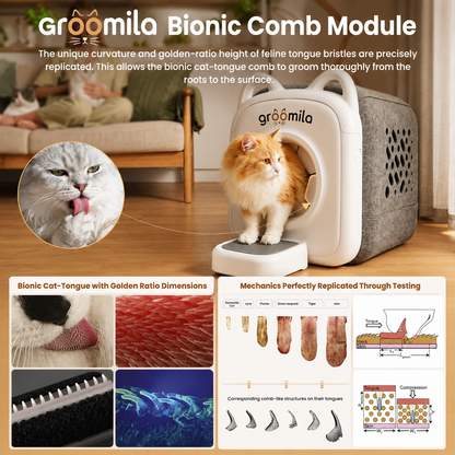 Groomila AutoComb Pro ✖2 Bundle