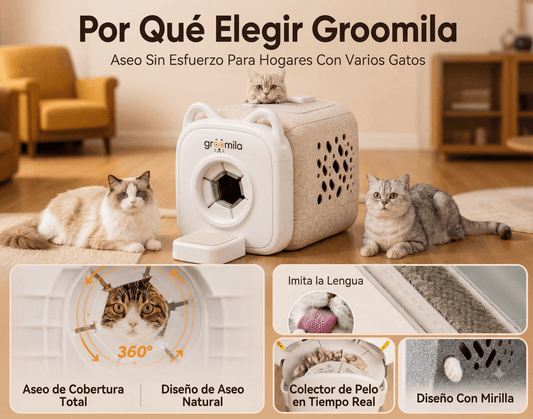 Beneficios y características de la caseta de autoaseo Groomila XL