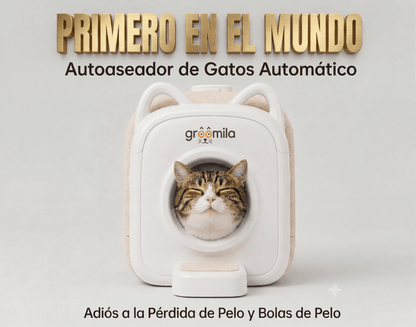 Primer autoaseador automático para gatos Groomila XL en el mercado