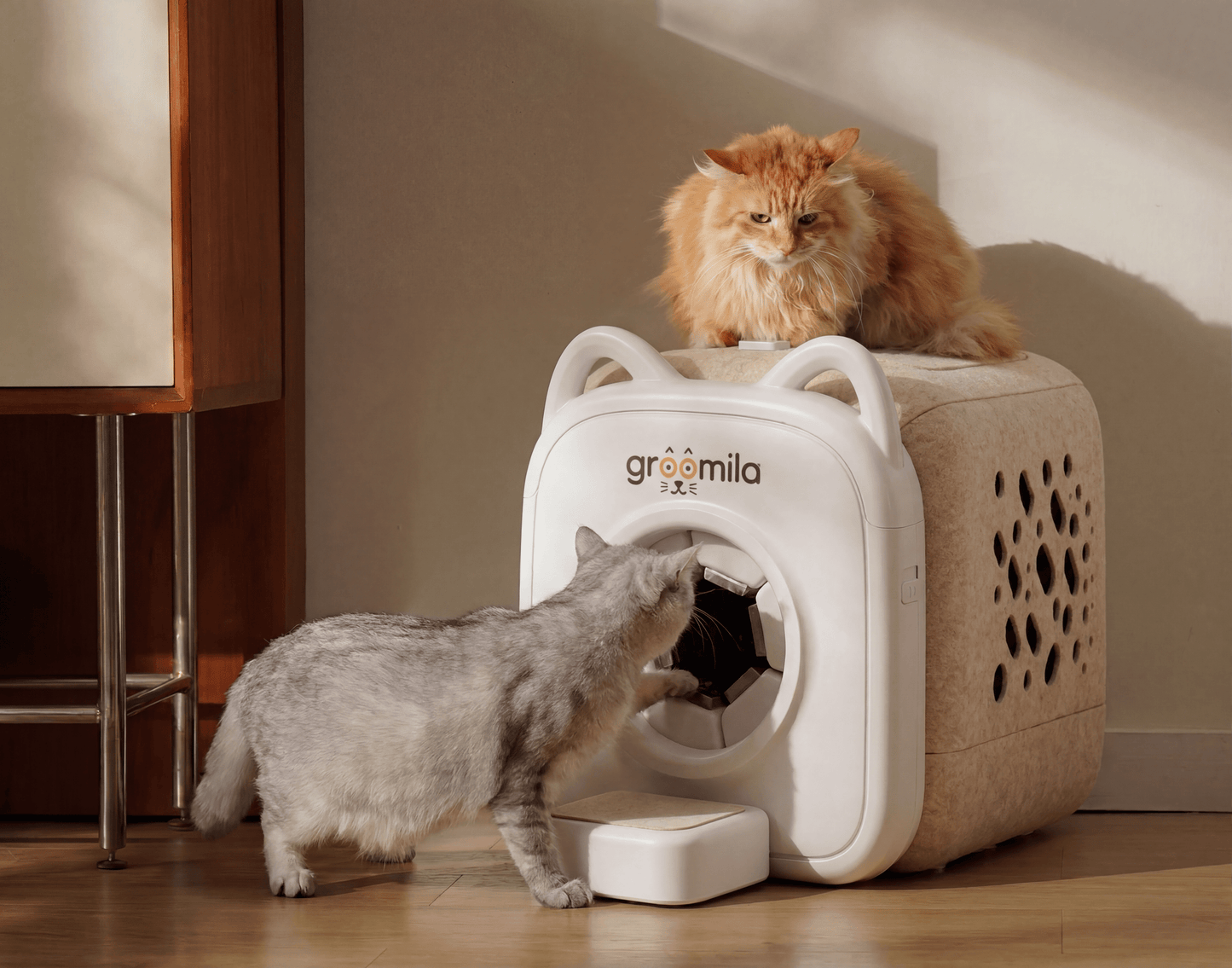 Gatos usando la cabina de autoaseo biónica Groomila XL en casa
