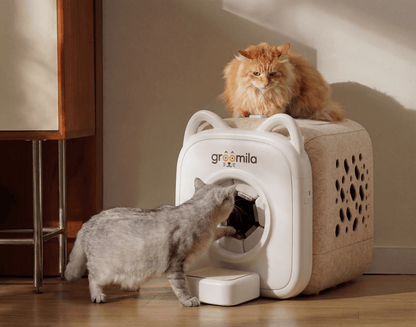 Gatos usando la cabina de autoaseo biónica Groomila XL en casa